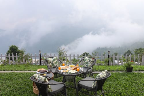 Nest @ Forktail House