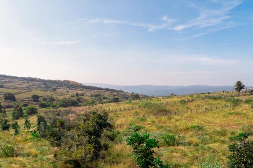 Oak @ Hillside Harmony - Hosur