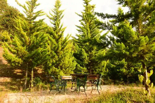 GlenBrook Estate Juniper | Hillside 1-BHK Suite with Shared Gazebo, Restro & Lounge Area Near Waterfall 