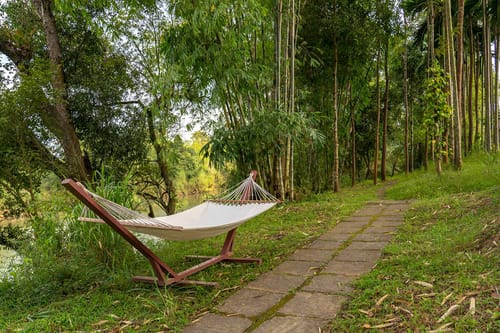 Firefly by the River