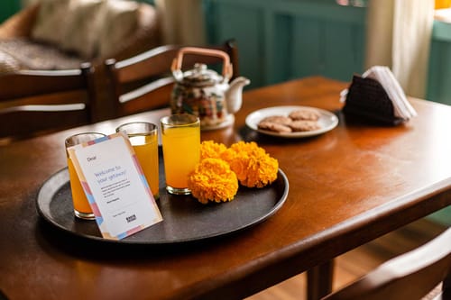 Tulip @ Nature’s Lap