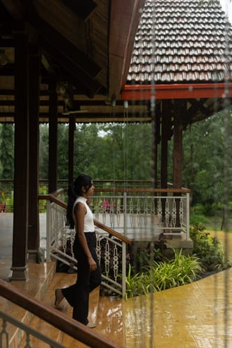 Orchard by the River