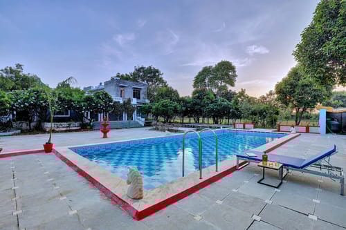 Sage @ Jungle Retreat