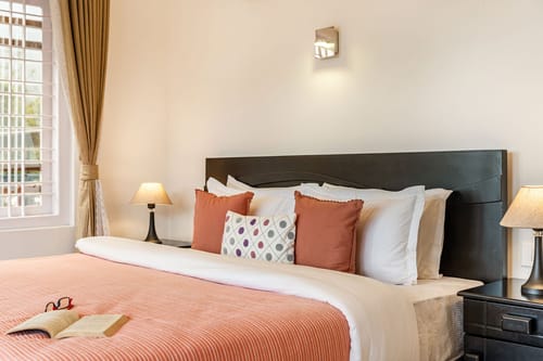 Ivory @ Cardamom Casa