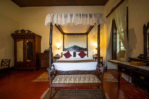 Zito @ The Figueiredo House