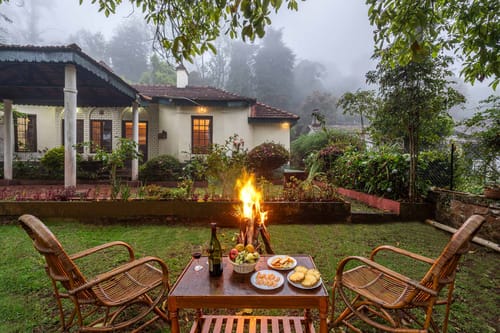 Plum @ Serenity of Sunny Side