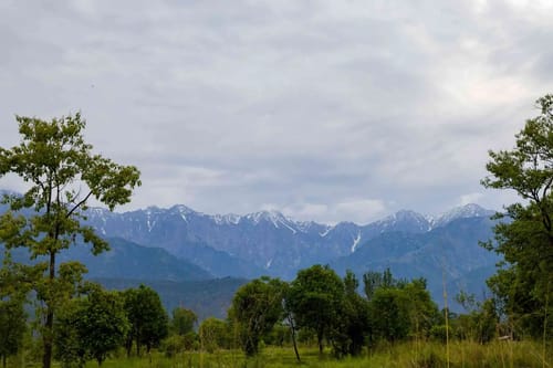 Esh Cottages Willow | Hillside 1-room Retreat With Lush Garden, Common Pool & Restaurant