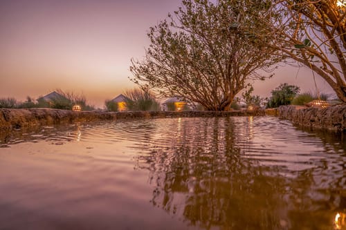 Vagabond @ Nomads’ Nest Campout