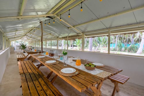 Apple @ Wellnest Natural Farms