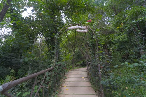 Panchavadi | Tree House On 10-acre Land With Natural Pool, Garden & Restro