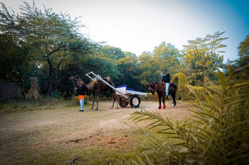 Khohar Haveli - Gurgaon W/ Breakfast Included