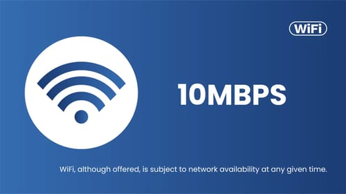 Hydrangea Hill (Garden)