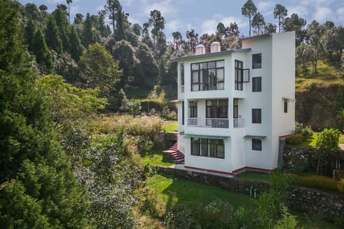 Morning Bliss - Ranikhet