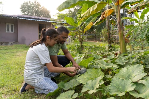 Sunnyside Homestay - Denkanikottai