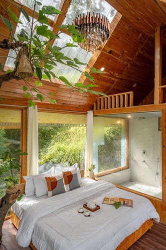 The Sinatra Skylight: Glass treehouse in the mist