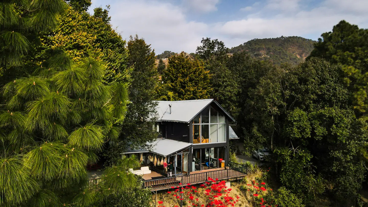 Junglee Murgi - Image 2