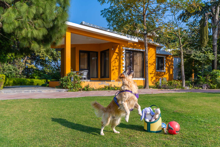 Artha @ The Manvi Estate - Image 4