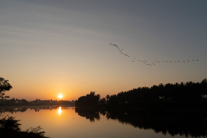 Golden Triangle - Image 4