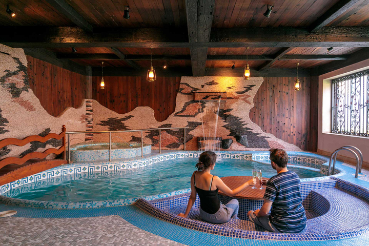 Krishnalaya Mansion - Image 3