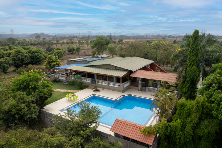 The Blue Roof - Image 2