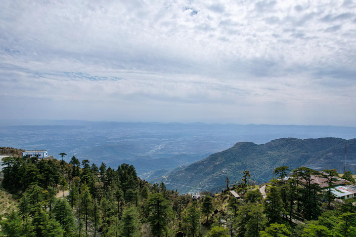 Treetop @ Albert Estate - Image 3