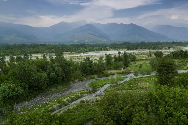 Lavender Haze - Image 4