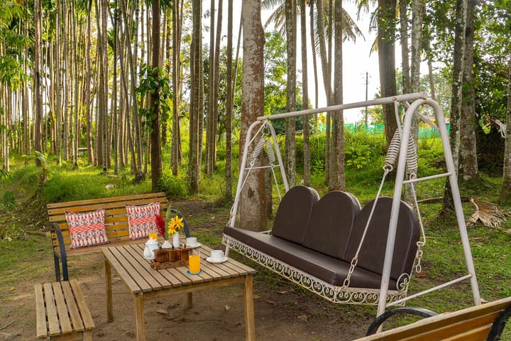 Firefly by the River - Image 5