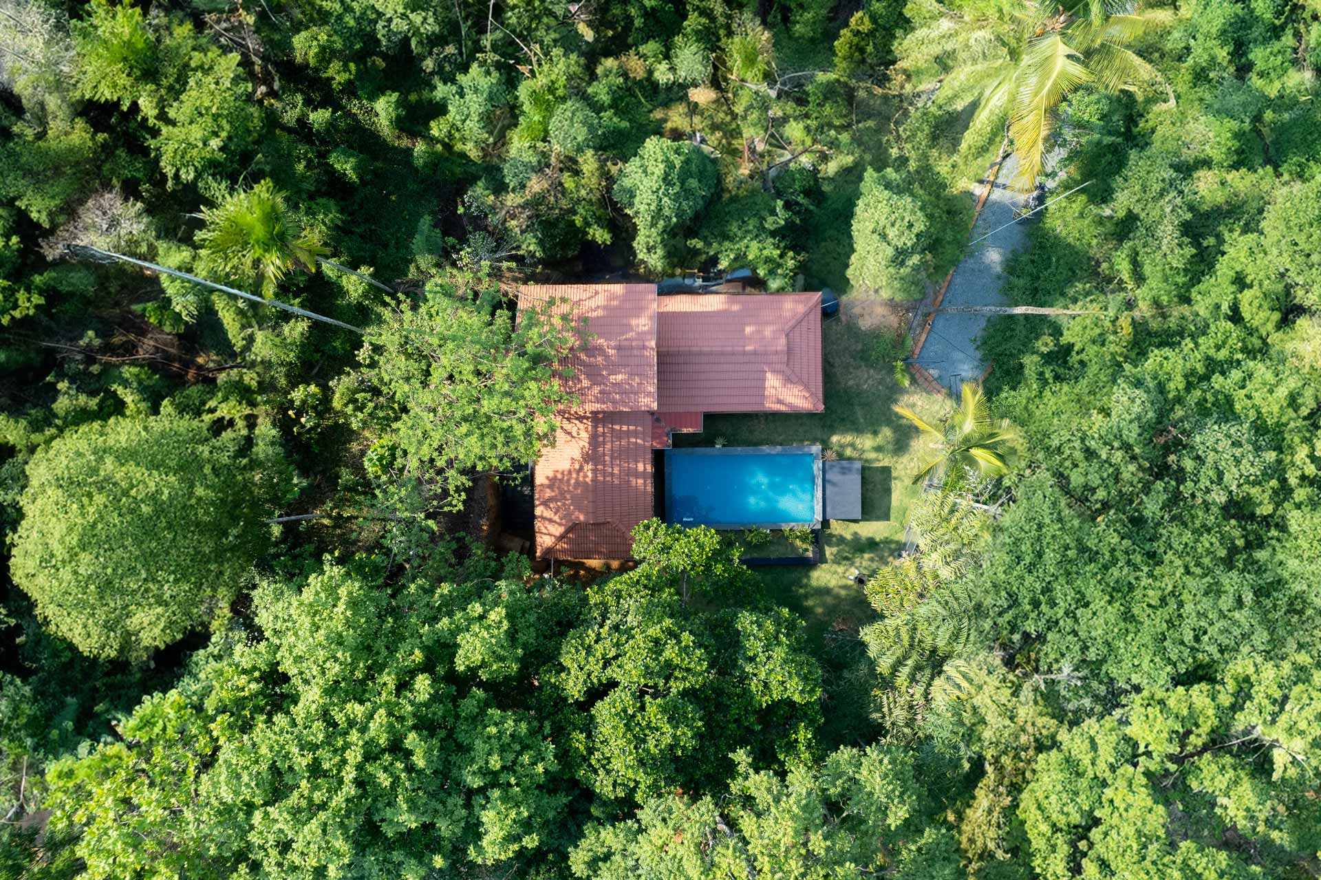 Palm Tree Homes - Image 4