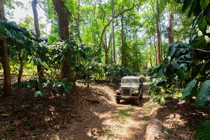 Crystal Homestay - Image 5