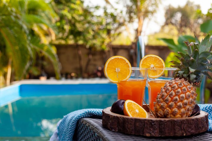 Wandering Greens - Palghar - Image 5