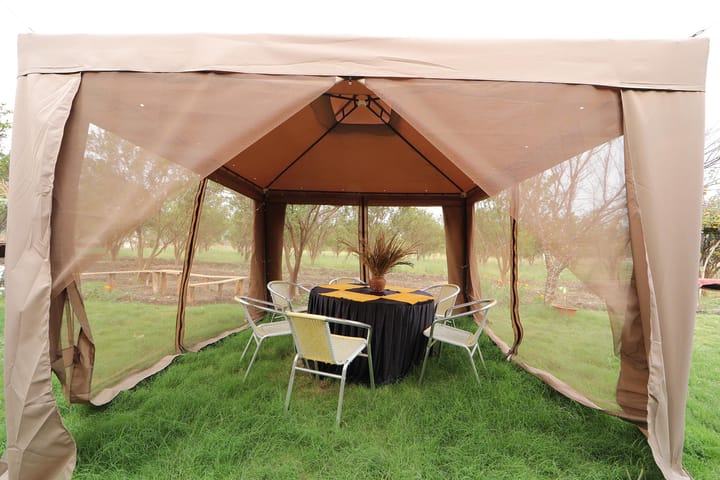 Orange Theory - Image 2