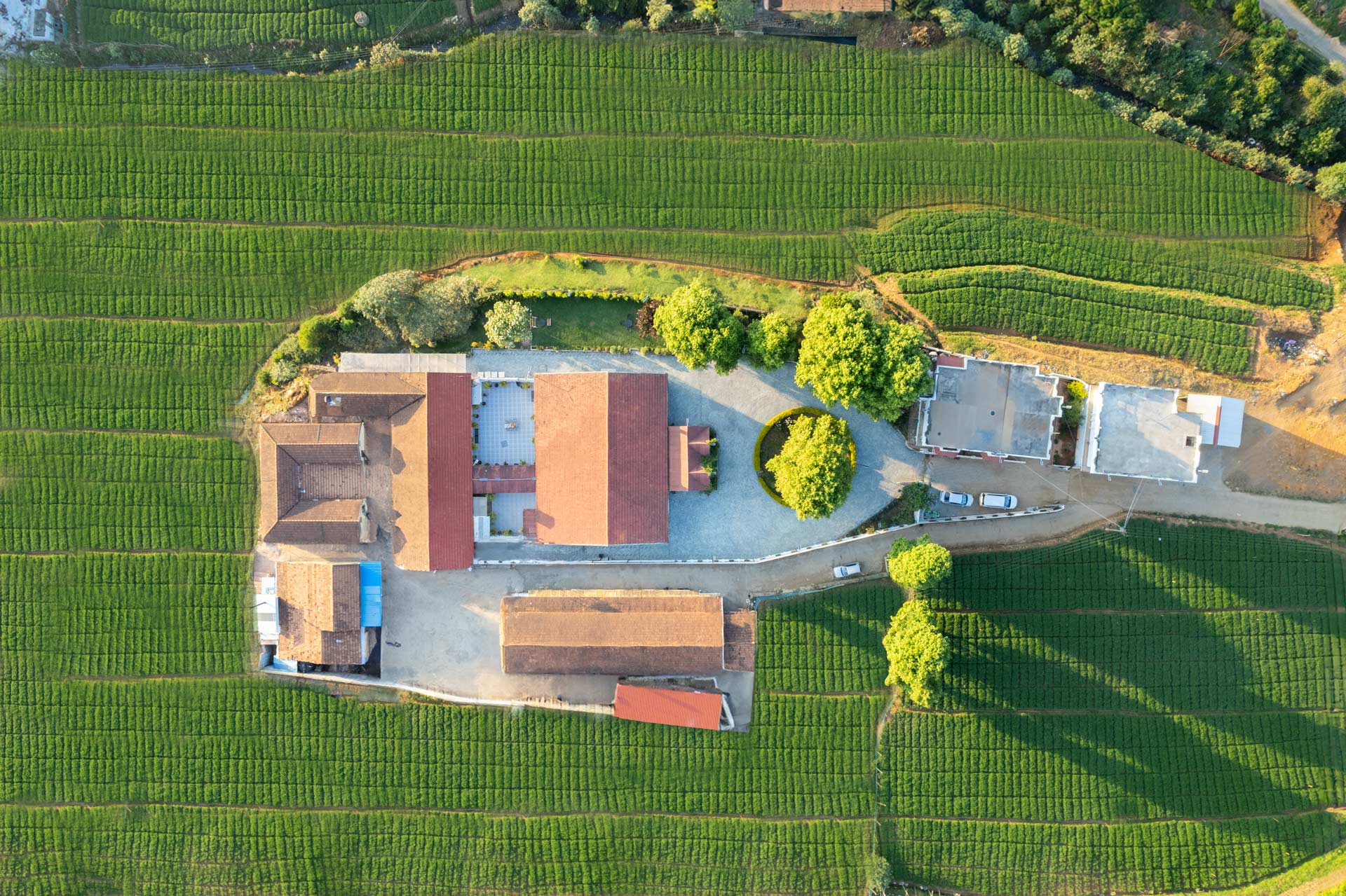 Pearl @ The Alcove - Image 5