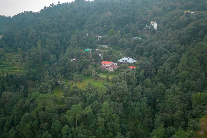 The Verandah - Image 4