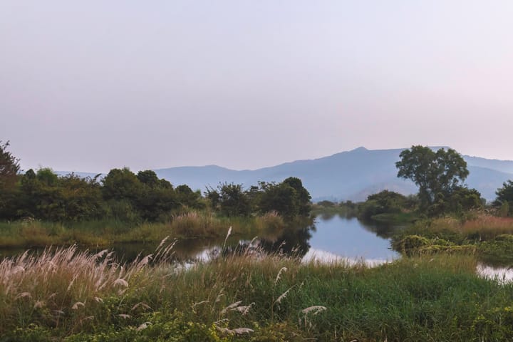 River Song - Image 3