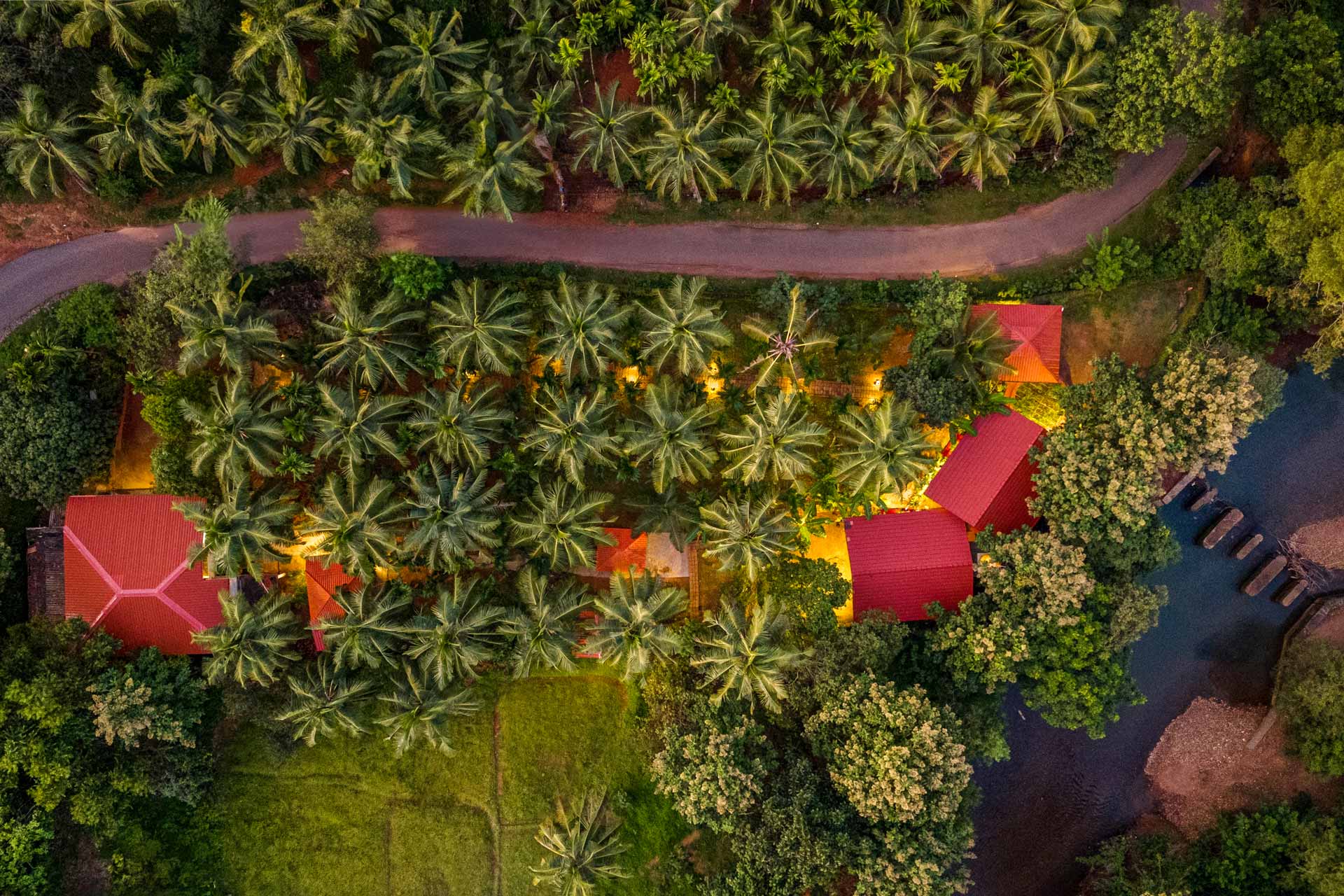 Kiwi @ Vatika Nature Nest - Mirjan - Image 2