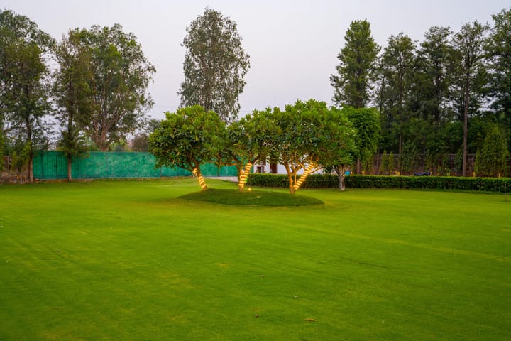 Sanisa Farm | 3-BHK Farmhouse With Private Pool, Game Zone & Lush Garden - Image 2