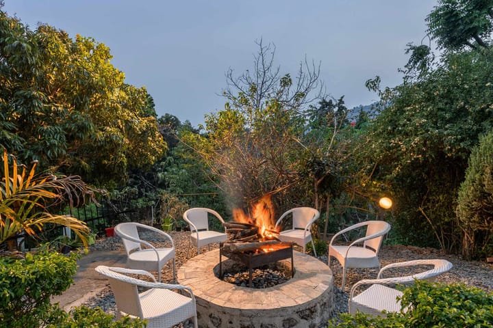 House of Hive - Image 4