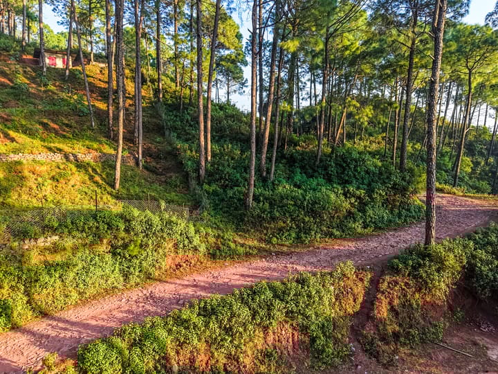 Stars and WindSongs | 1 Hilltop Suite with Shared Pool, Bonfire, Game Zone, Alfresco Dining & Relaxing Garden Spaces - Image 4