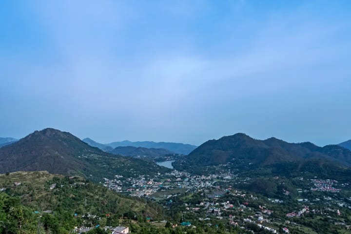 Junglee Murgi - Image 4