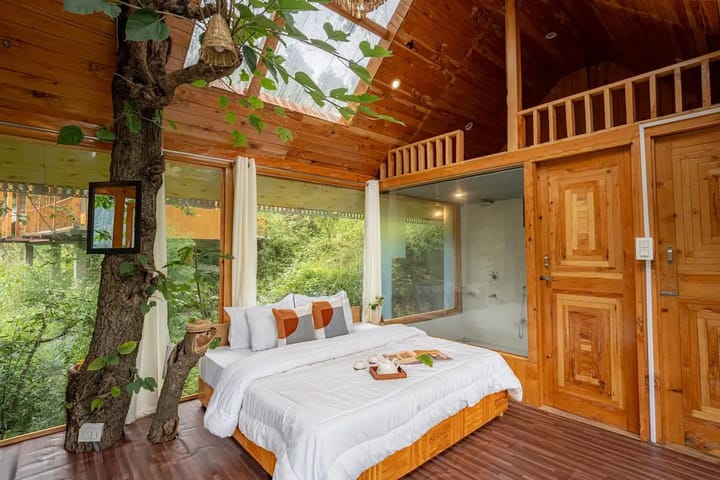 The Sinatra Skylight: Glass treehouse in the mist - Image 3