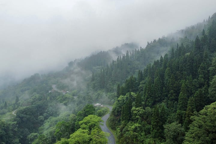 Forktail House - Image 4