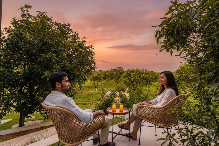 Lazy Mango - Image 4