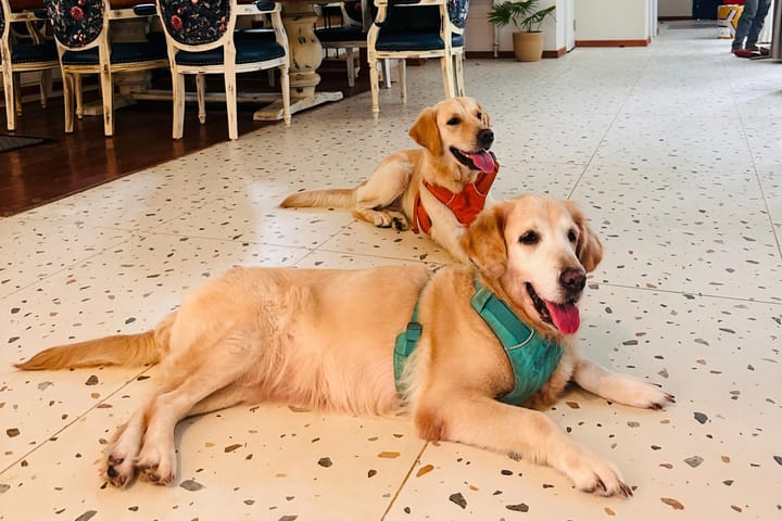 Vacasa | 5-BHK | Pvt Pool & Lift | Pet-friendly - Image 5