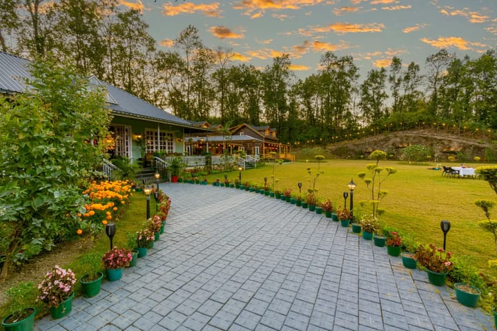 The Woods: Pine Villa - Image 3