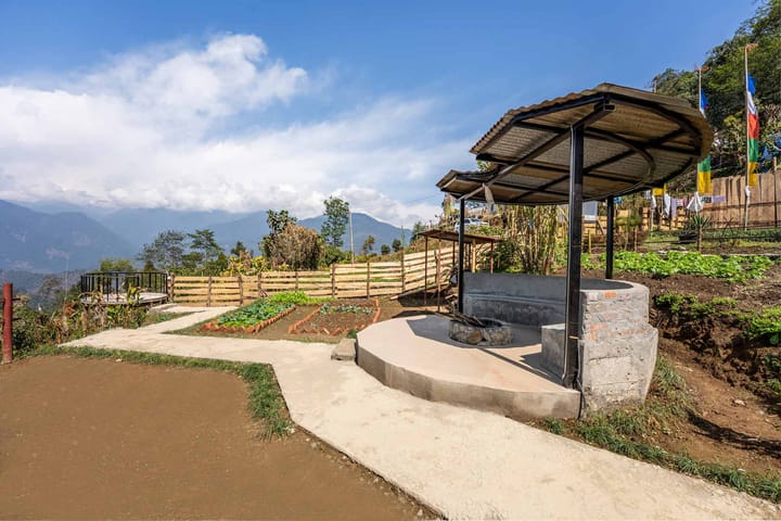 The Stargazer - Image 5