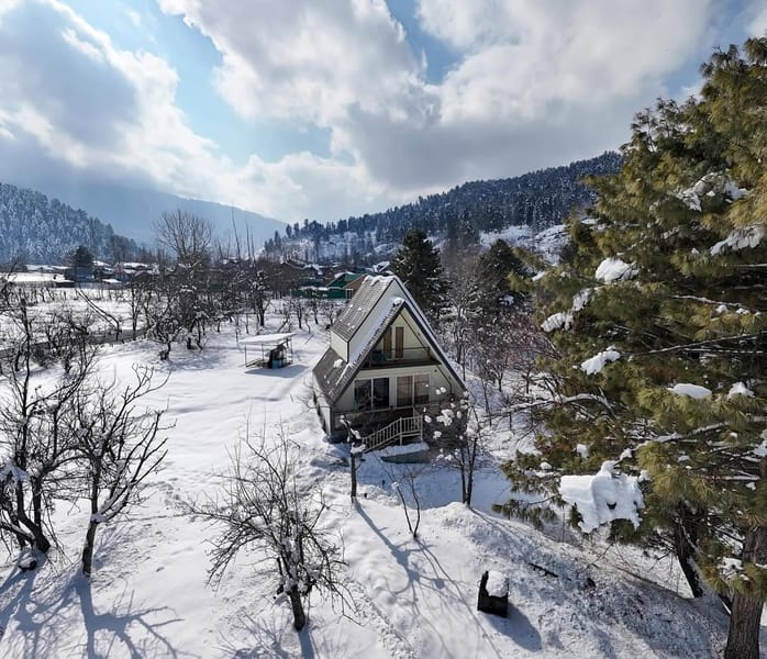 Cheese Cottage Estate ~ Olive Chalet
