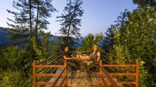 Homely Cooked Meals 🍽