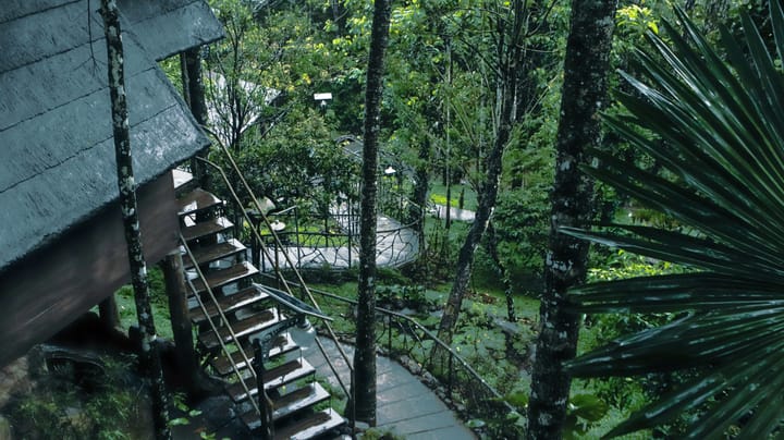 Panchavadi | 10-acre Land With 6 Forest-Facing Rooms, Natural Mountain Pool, Garden & Restro - Image 4