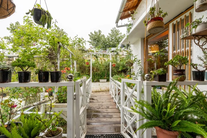 Hydrangea Hill (Garden) - Image 5