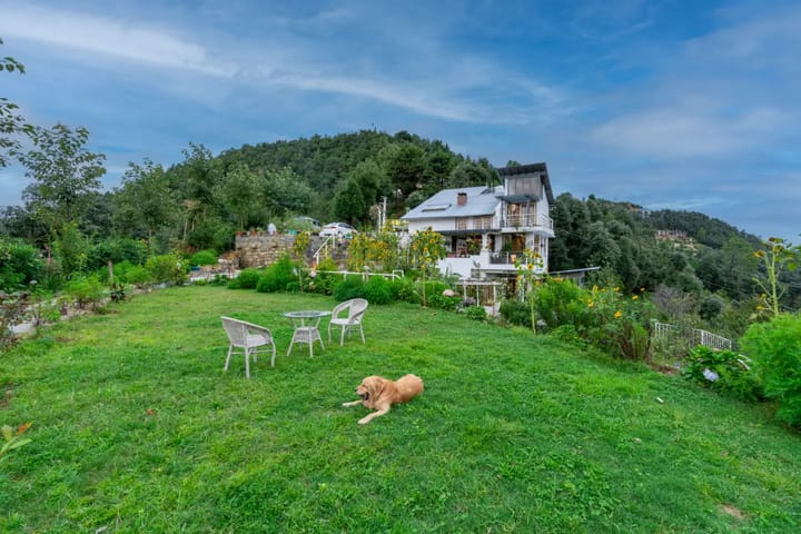 Hydrangea Hill (Garden) - Image 2